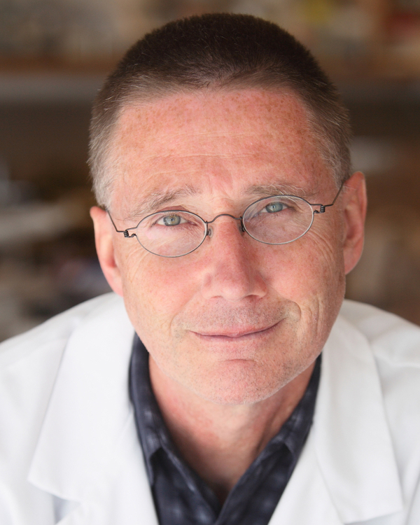 Nih director s transformative research award program 2018 award